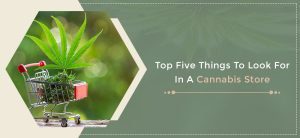 Things To Look For Cannabis Store