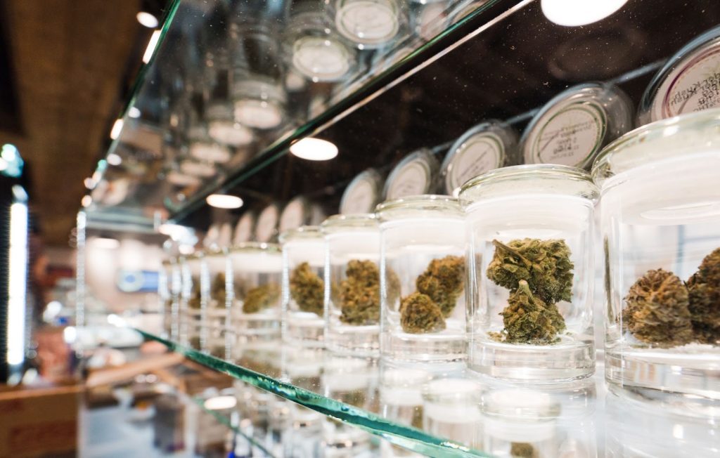 Insider Tips for Visiting the New Weed Dispensary Near Me in Hamilton