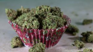 Edible Cannabis Options That Offer Consistent Effects
