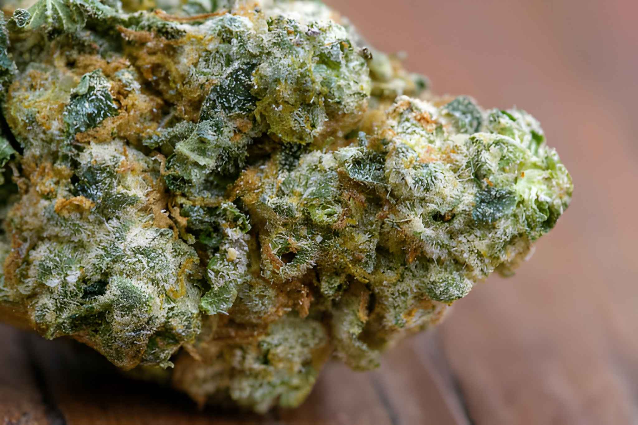 Live resin enhances modern cannabis experience with rich flavor